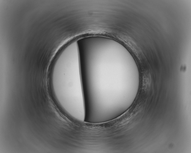 X0000097900584200803141008