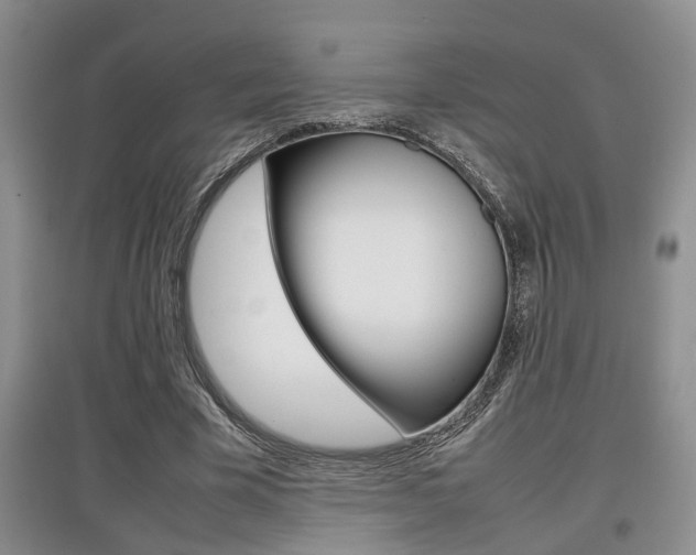 X0000097900585200803141008