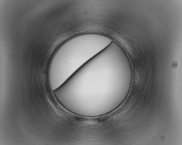 X0000097900586200803141008