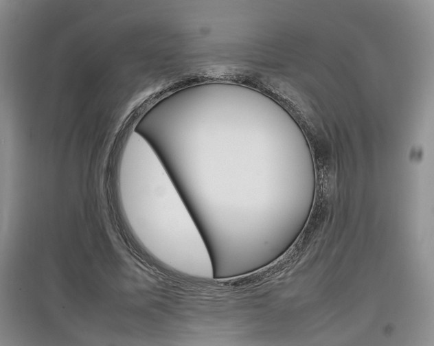 X0000097900587200803141008