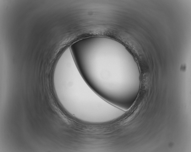X0000097900589200803141008