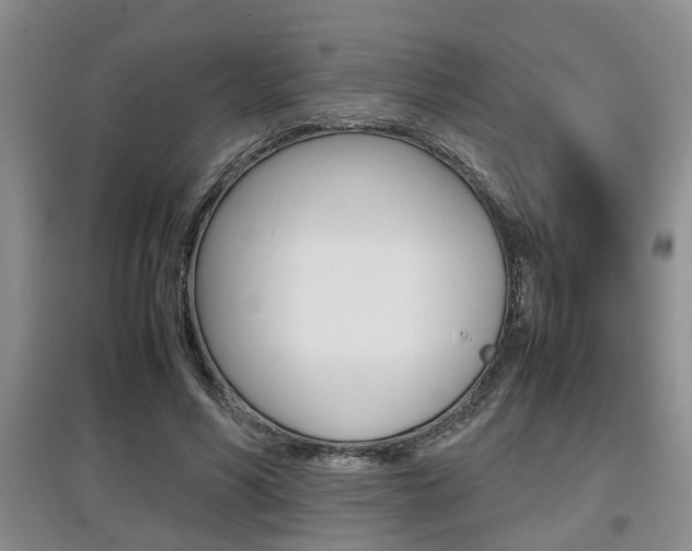 X0000097900590200803141008