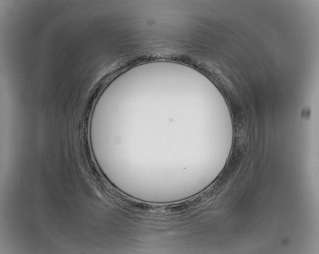 X0000097900591200803141008