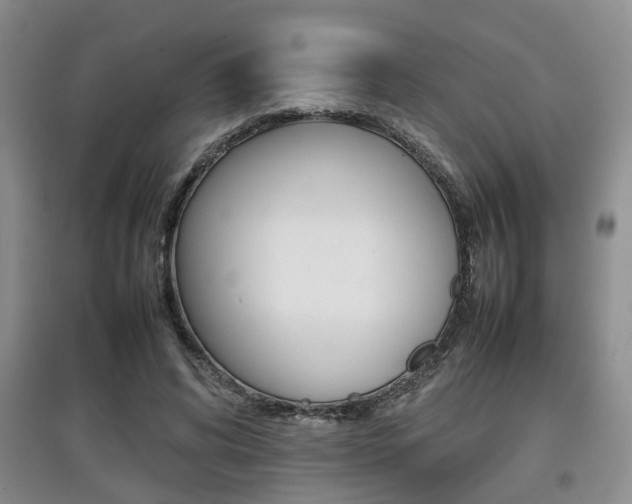 X0000097900592200803141008