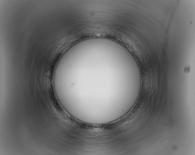 X0000097900594200803141008