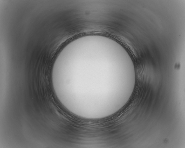 X0000097900596200803141008