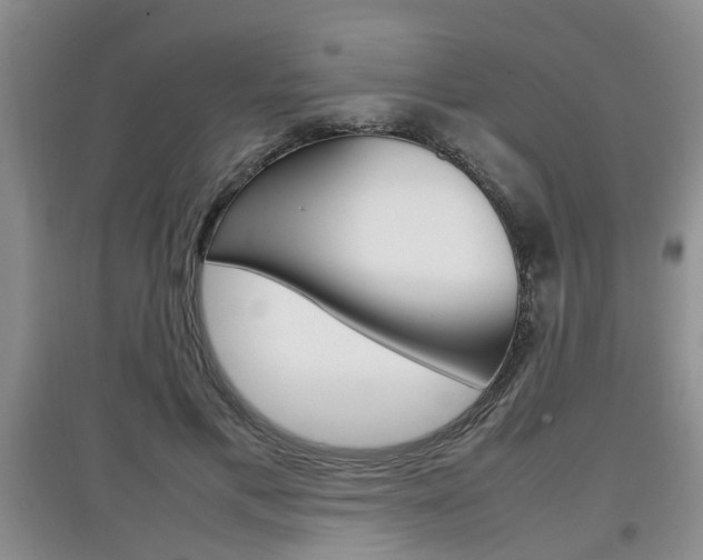 X0000097900597200803141008