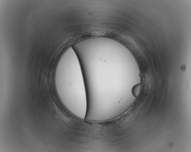 X0000097900598200803141008