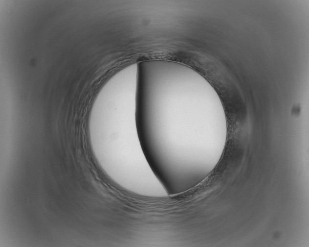X0000097900599200803141008