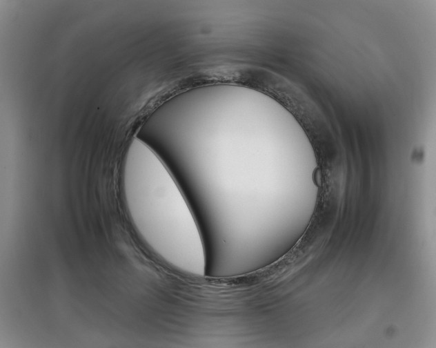X0000097900600200803141008
