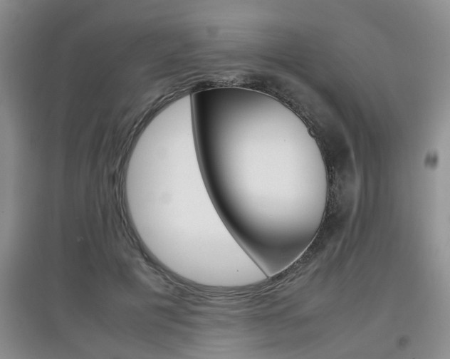 X0000097900601200803141008