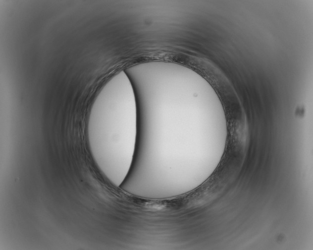 X0000097900602200803141008
