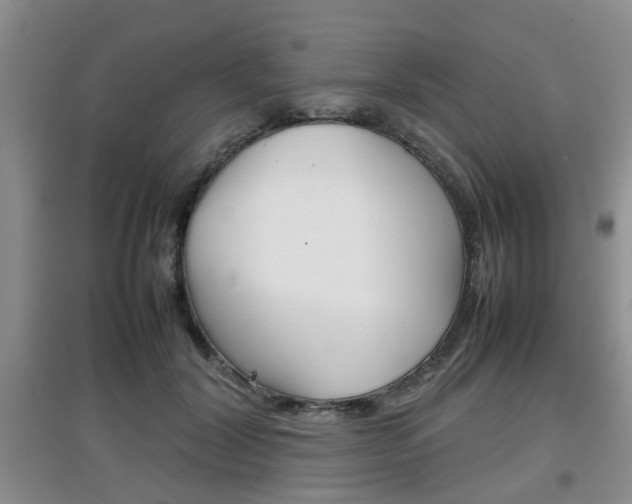X0000097900604200803141008