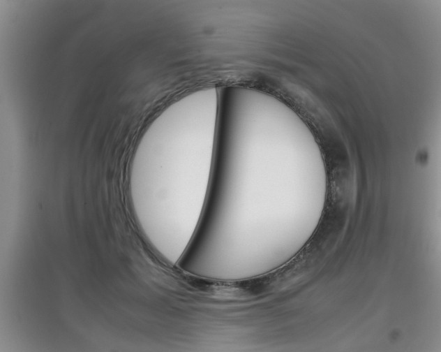 X0000097900605200803141008