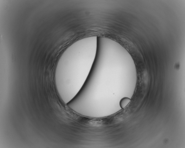 X0000097900606200803141008