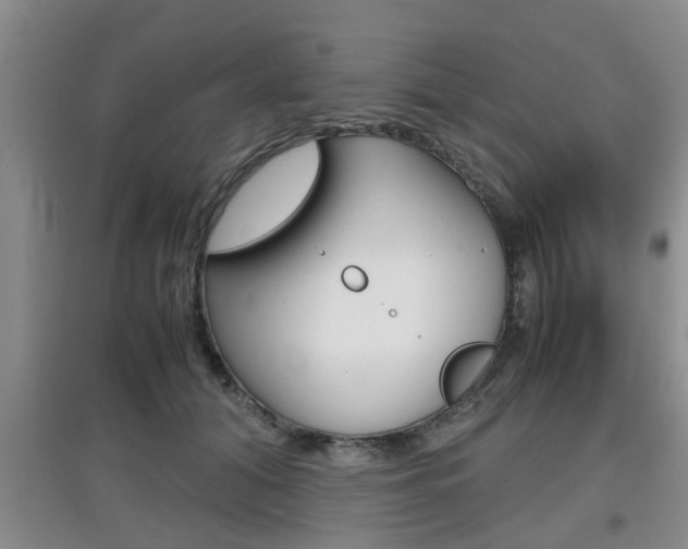 X0000097900608200803141008