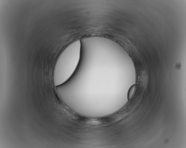 X0000097900610200803141008