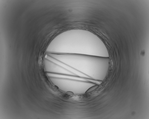 X0000097900611200803141008