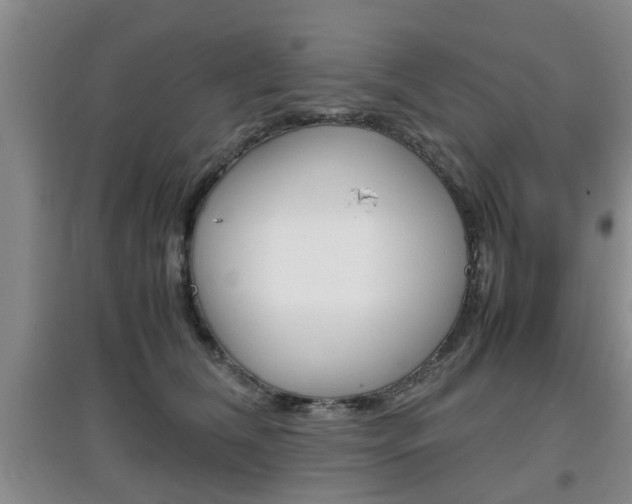 X0000097900612200803141008