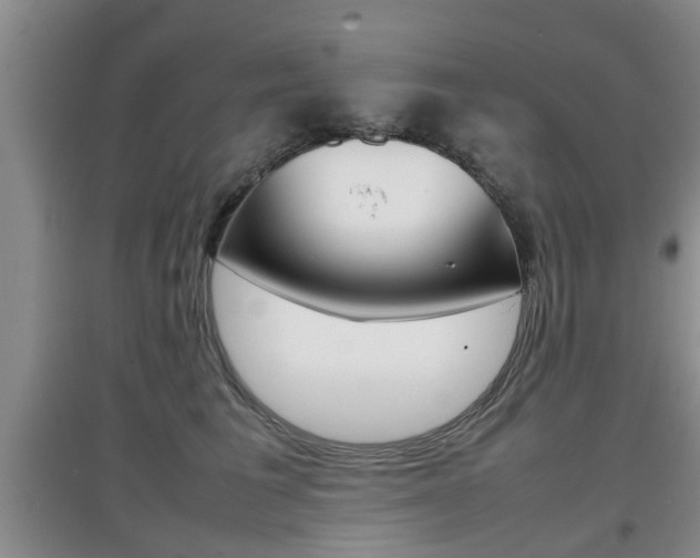 X0000097900613200803141008