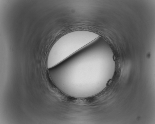 X0000097900615200803141008