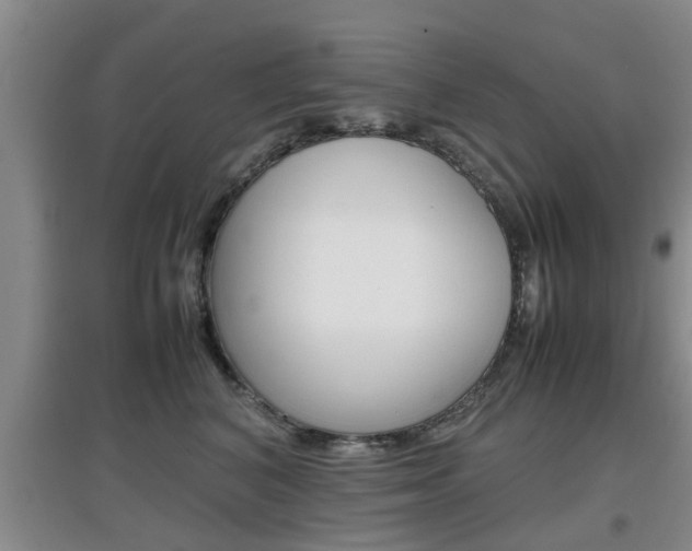 X0000097900616200803141008