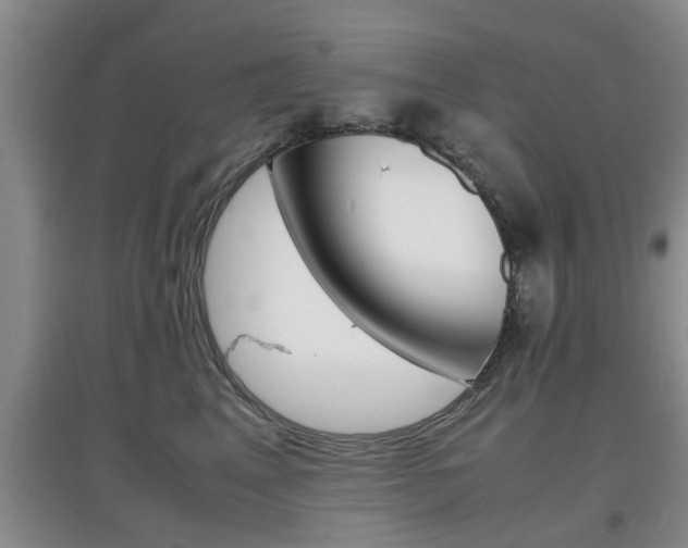 X0000097900617200803141008