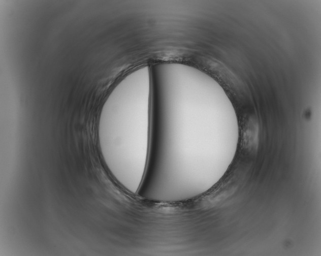 X0000097900620200803141007