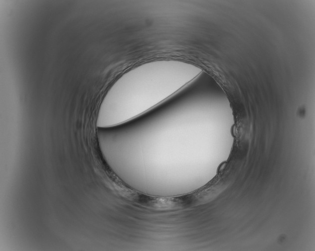 X0000097900623200803141007
