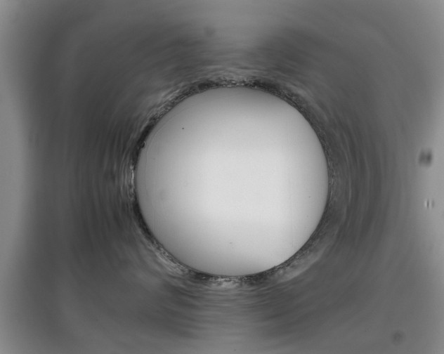 X0000097900624200803141007