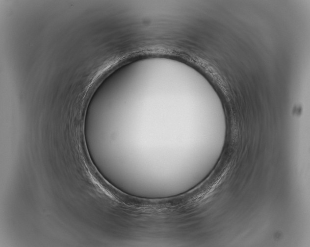 X0000097900625200803141007