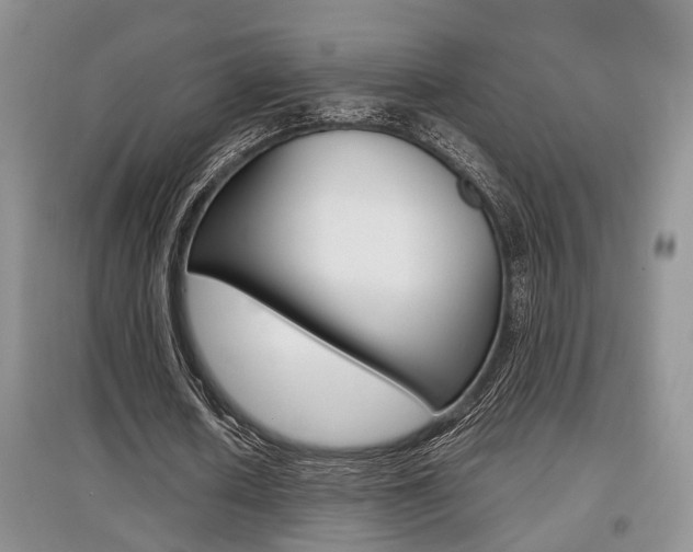 X0000097900626200803141007