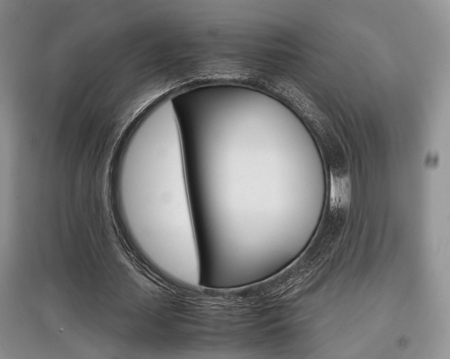 X0000097900627200803141007