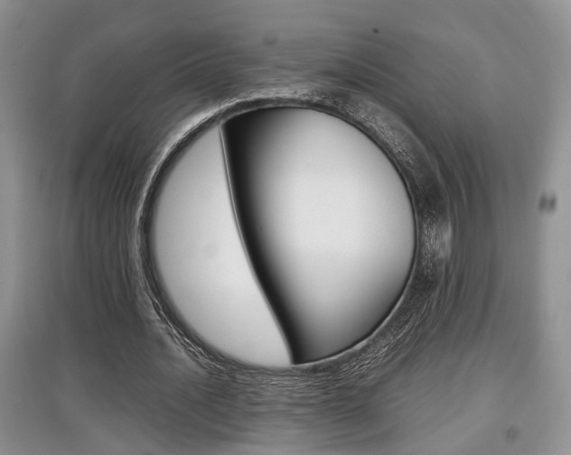 X0000097900628200803141007