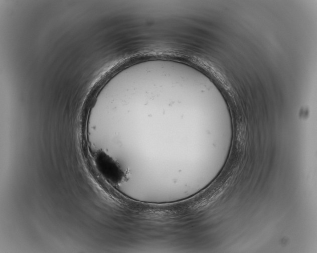 X0000097900629200803141007