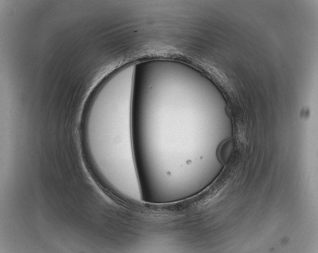 X0000097900630200803141007