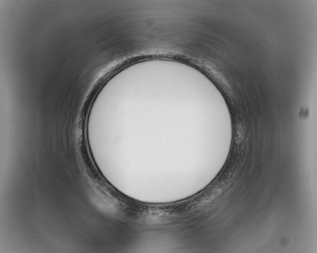 X0000097900632200803141007