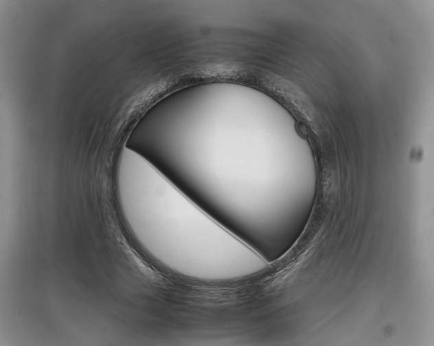 X0000097900633200803141007