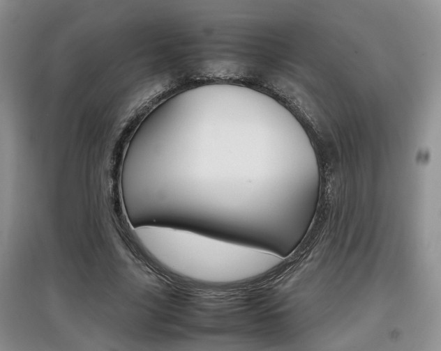 X0000097900635200803141007