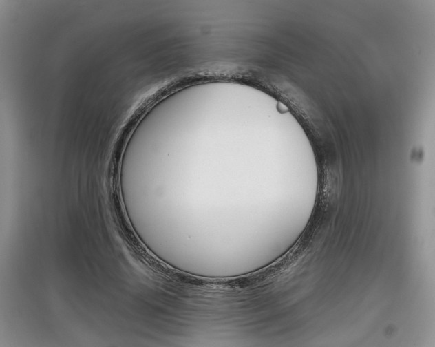 X0000097900636200803141007
