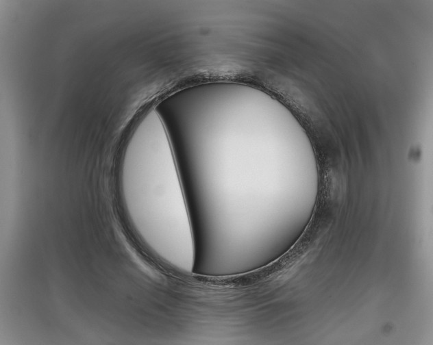 X0000097900638200803141007