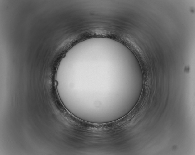 X0000097900639200803141007