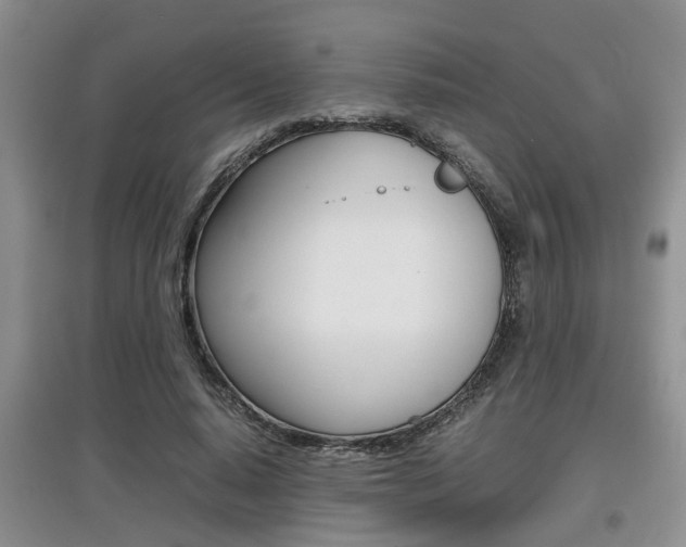 X0000097900640200803141007