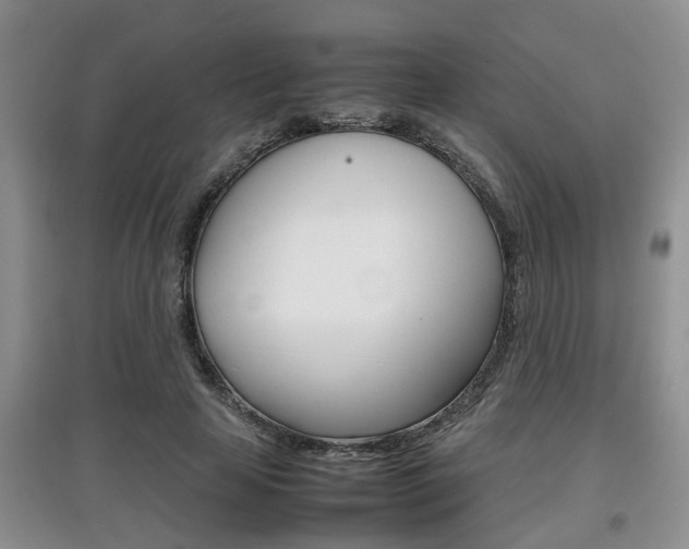 X0000097900641200803141007