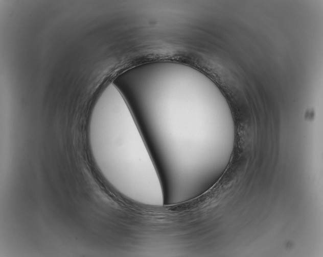 X0000097900642200803141007