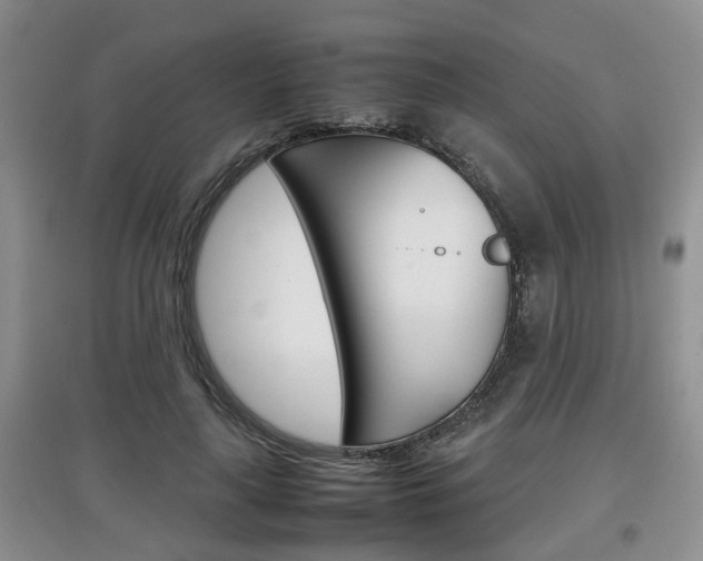 X0000097900643200803141007