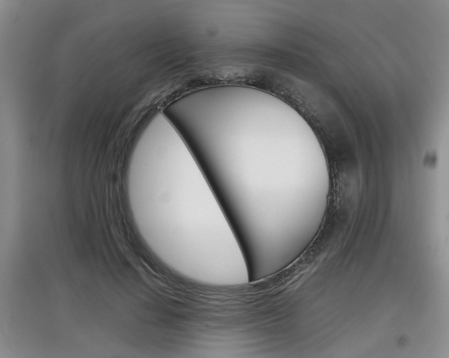 X0000097900644200803141007