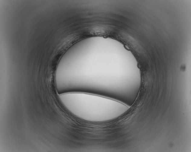 X0000097900645200803141007