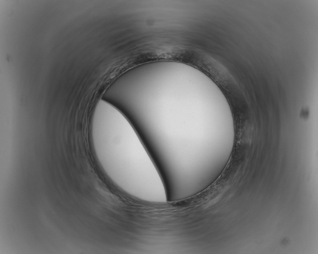 X0000097900646200803141007
