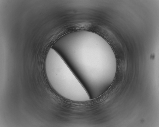 X0000097900649200803141007